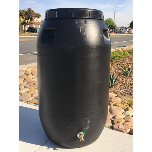 Rain Barrels Intl. 60 Gallon Rain Barrel Wayfair